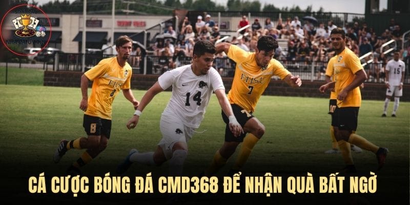 Cá cược bóng đá CMD368, nhận quà bất ngờ 