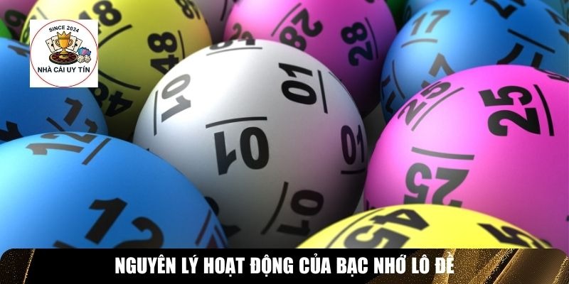 Nguy&ecirc;n l&yacute; hoạt động của bạc nhớ l&ocirc; đề