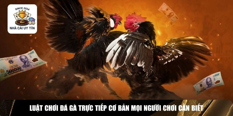Luật chơi đ&aacute; g&agrave; trực tiếp cơ bản mọi người chơi cần biết